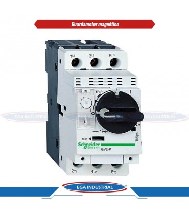 Guardamotor GV2P05 TELEMECANIQUE