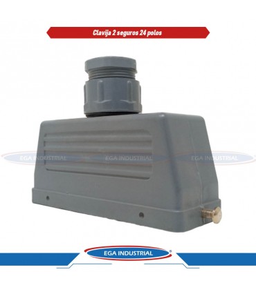 Clavija 24 polos SCPS2R24 STECK